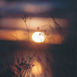 Публикация в журнале Мир музея